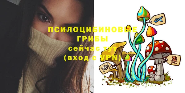 соль ск Бугульма
