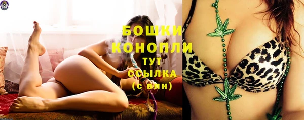 ПСИЛОЦИБИНОВЫЕ ГРИБЫ Бронницы