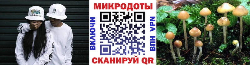 Галлюциногенные грибы Magic Shrooms Рыбинск