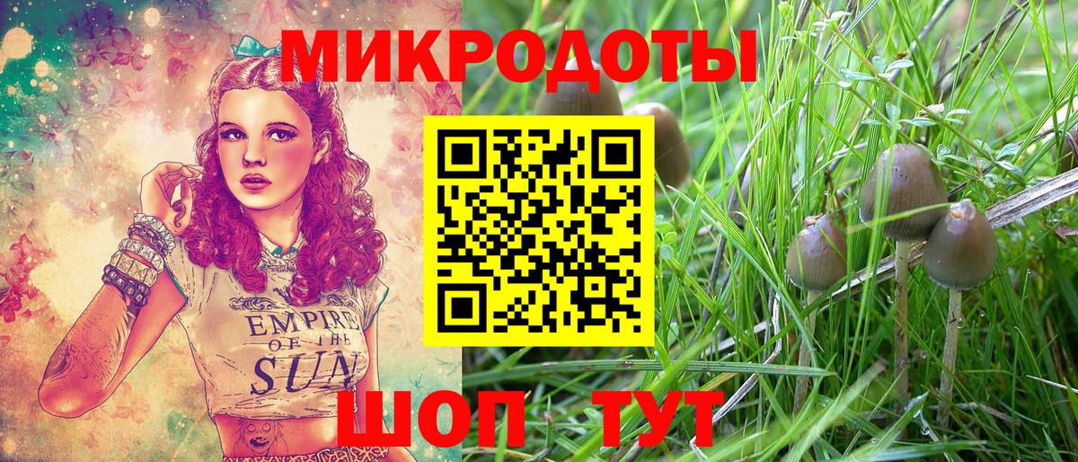 Рыбинск  Псилоцибиновые грибы Psilocybe  Вход с VPN 